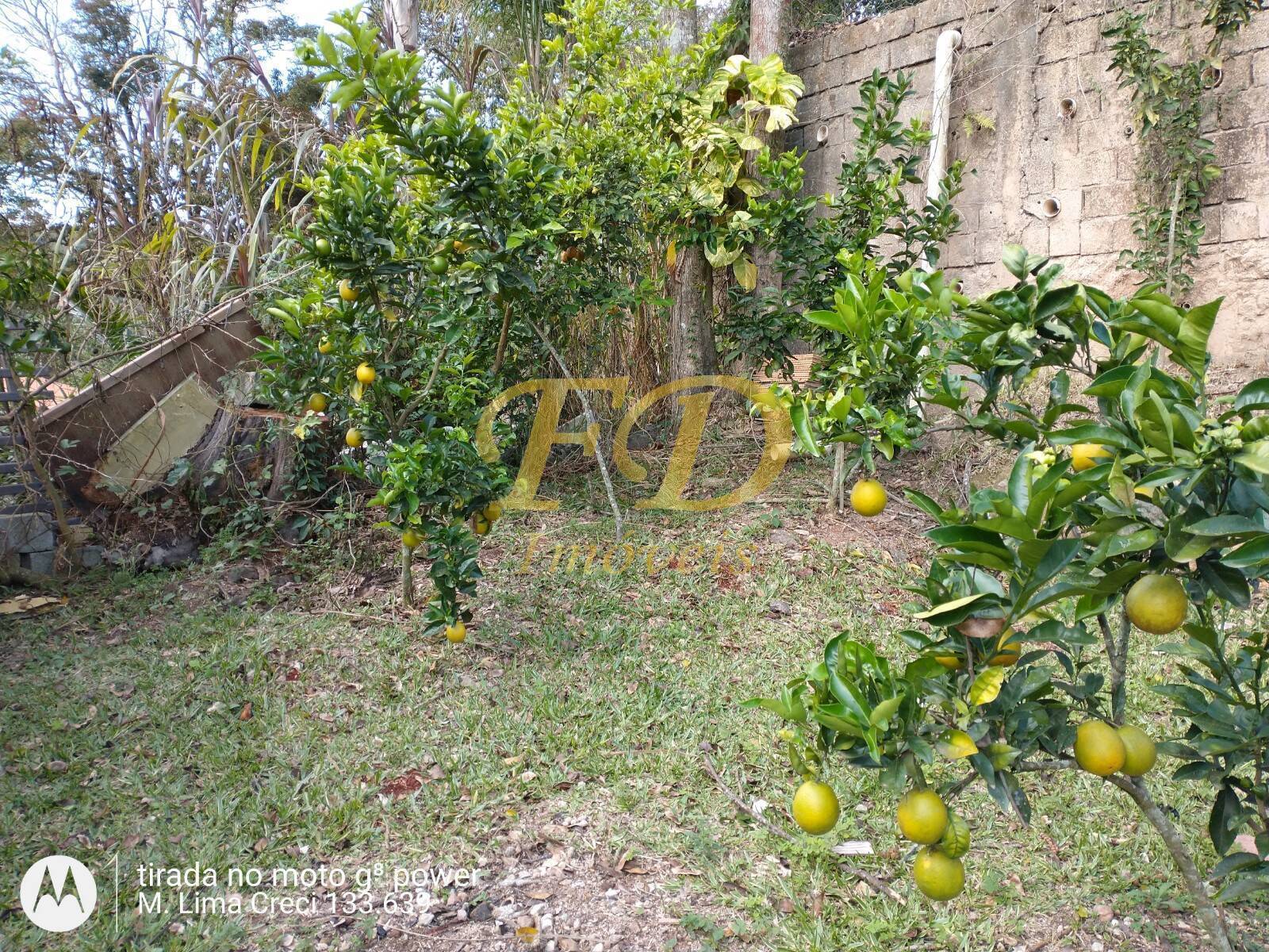 Fazenda à venda com 4 quartos, 320m² - Foto 40