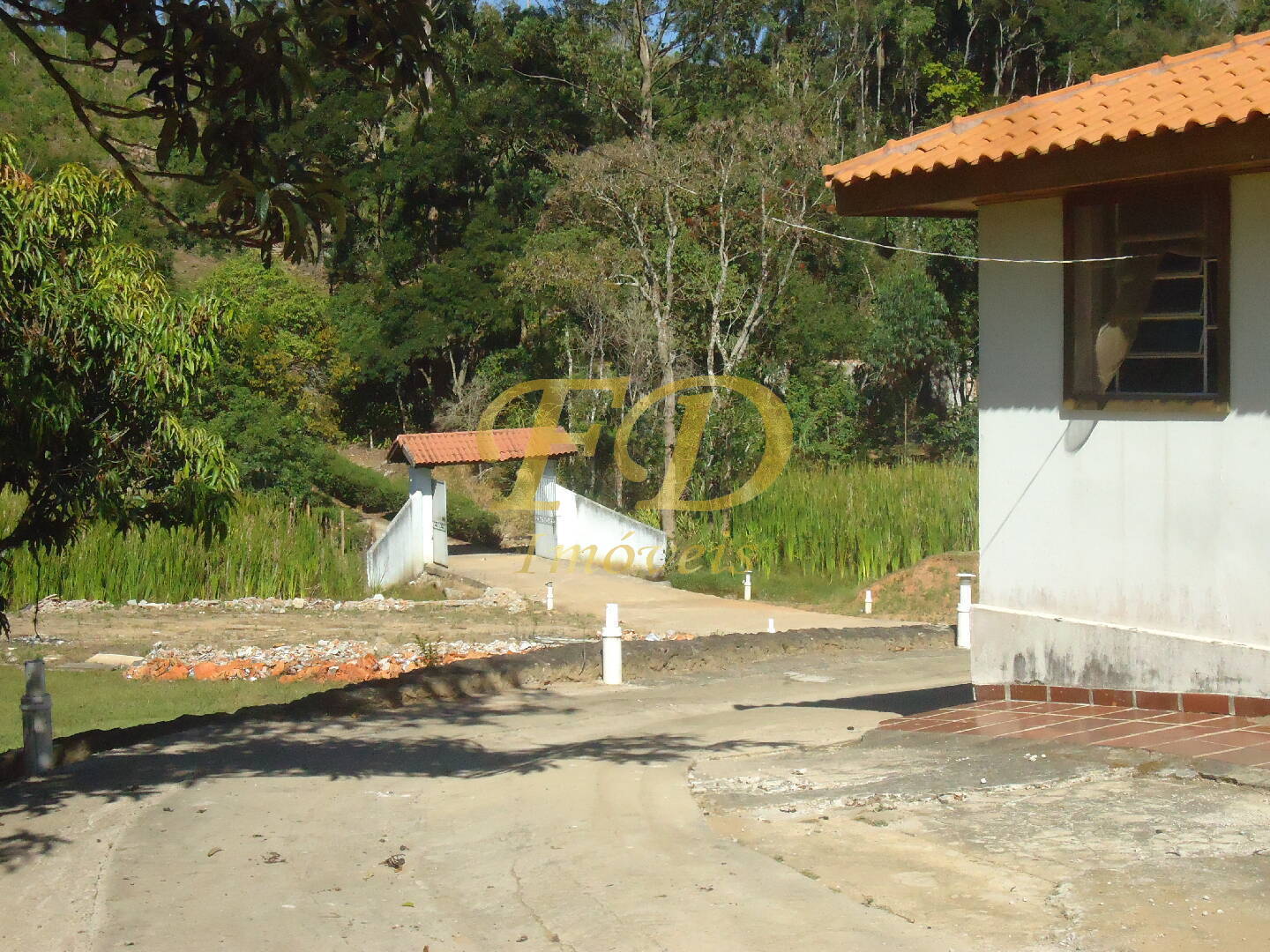 Fazenda à venda com 3 quartos, 1000m² - Foto 6