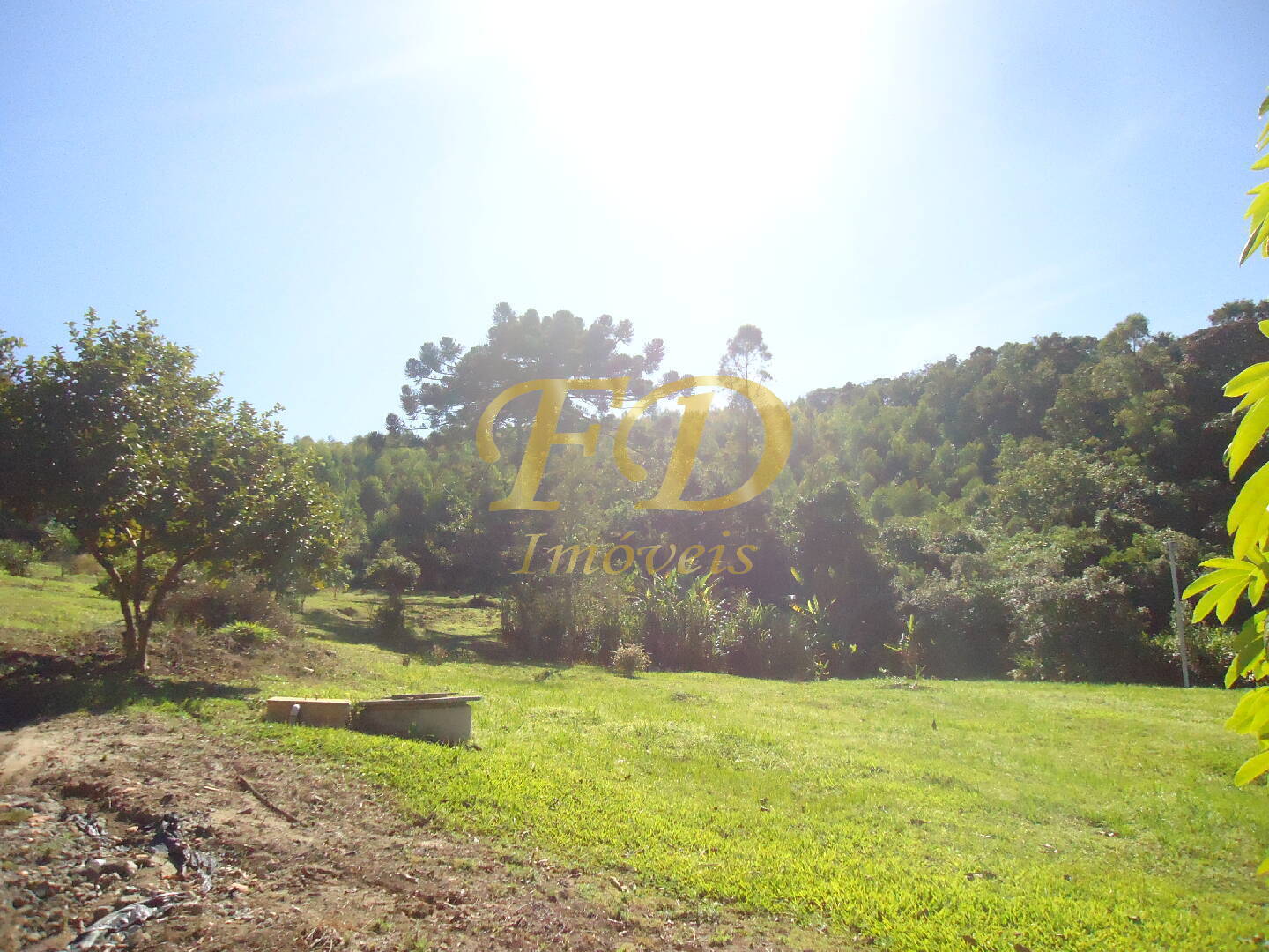 Fazenda à venda com 3 quartos, 1000m² - Foto 12