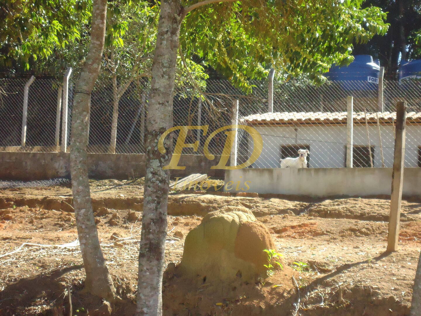 Fazenda à venda com 3 quartos, 1000m² - Foto 30