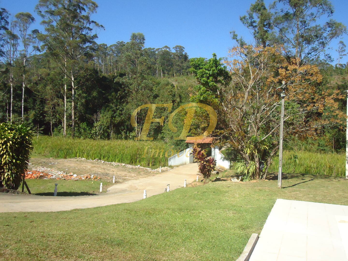 Fazenda à venda com 3 quartos, 1000m² - Foto 40