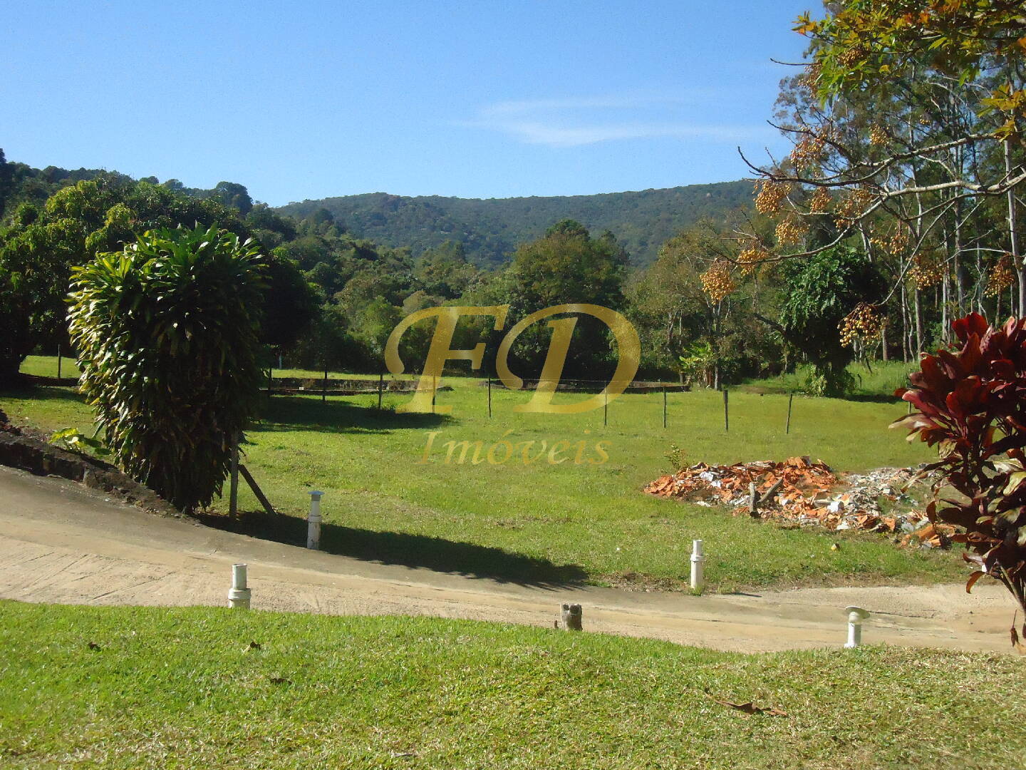 Fazenda à venda com 3 quartos, 1000m² - Foto 45