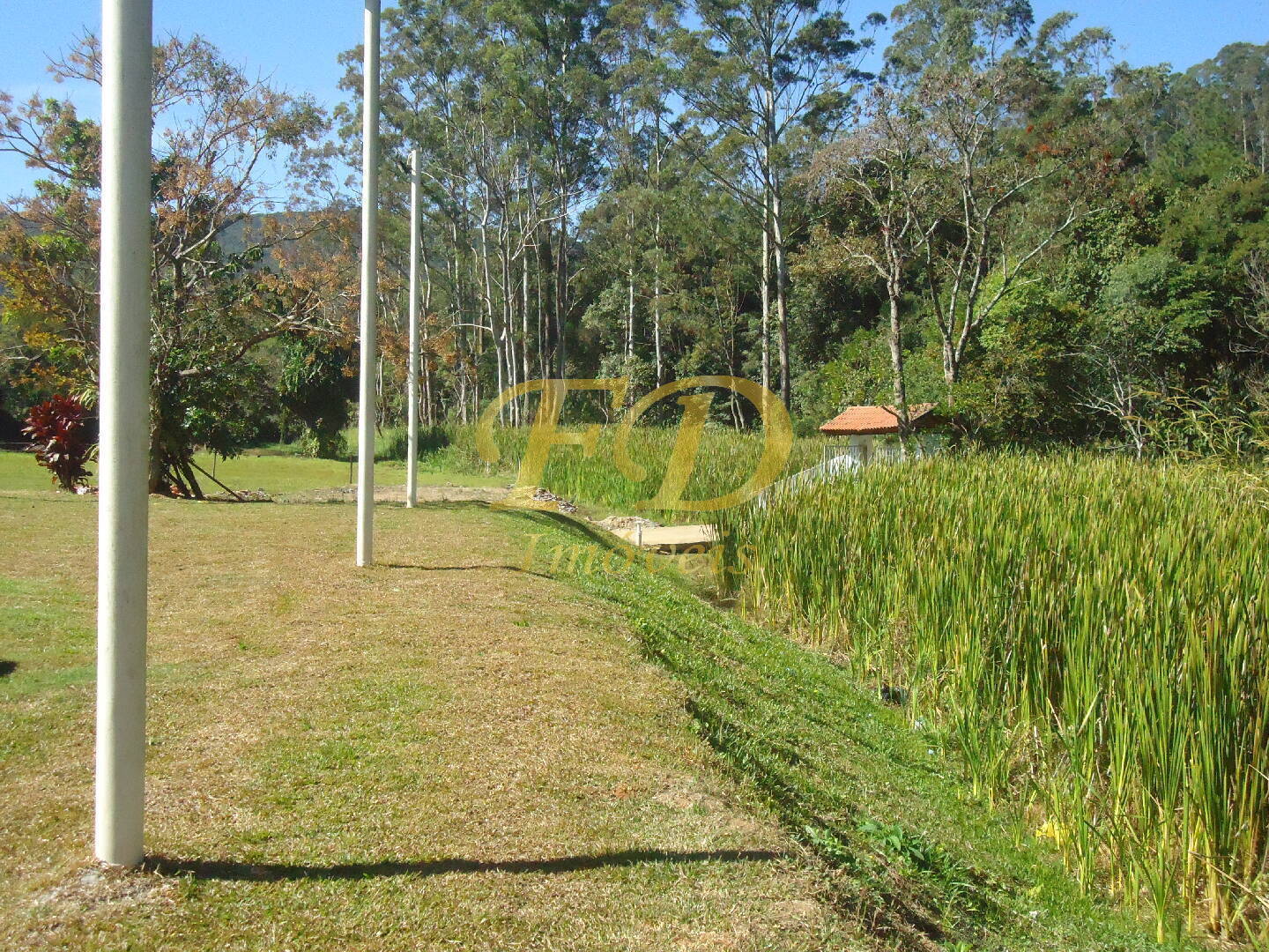 Fazenda à venda com 3 quartos, 1000m² - Foto 48