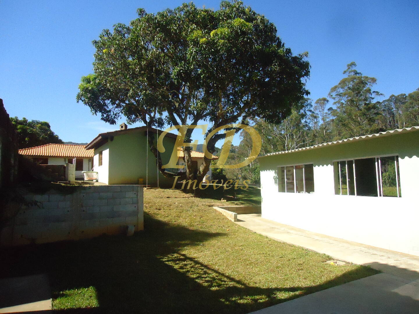 Fazenda à venda com 3 quartos, 1000m² - Foto 56