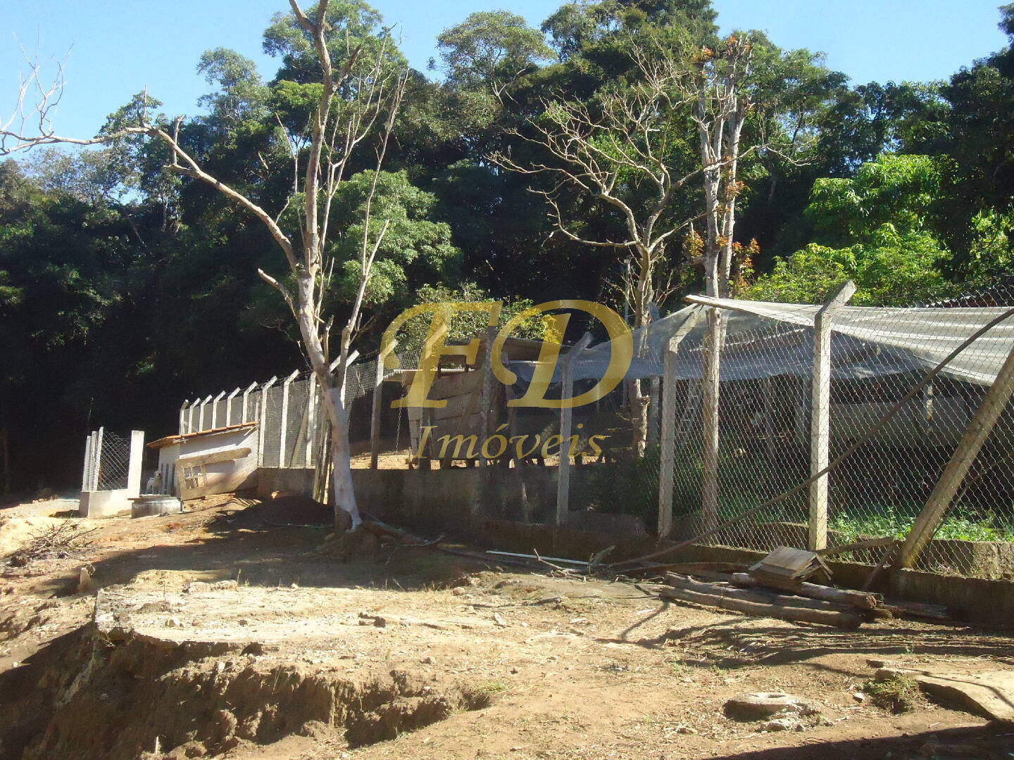 Fazenda à venda com 3 quartos, 1000m² - Foto 59