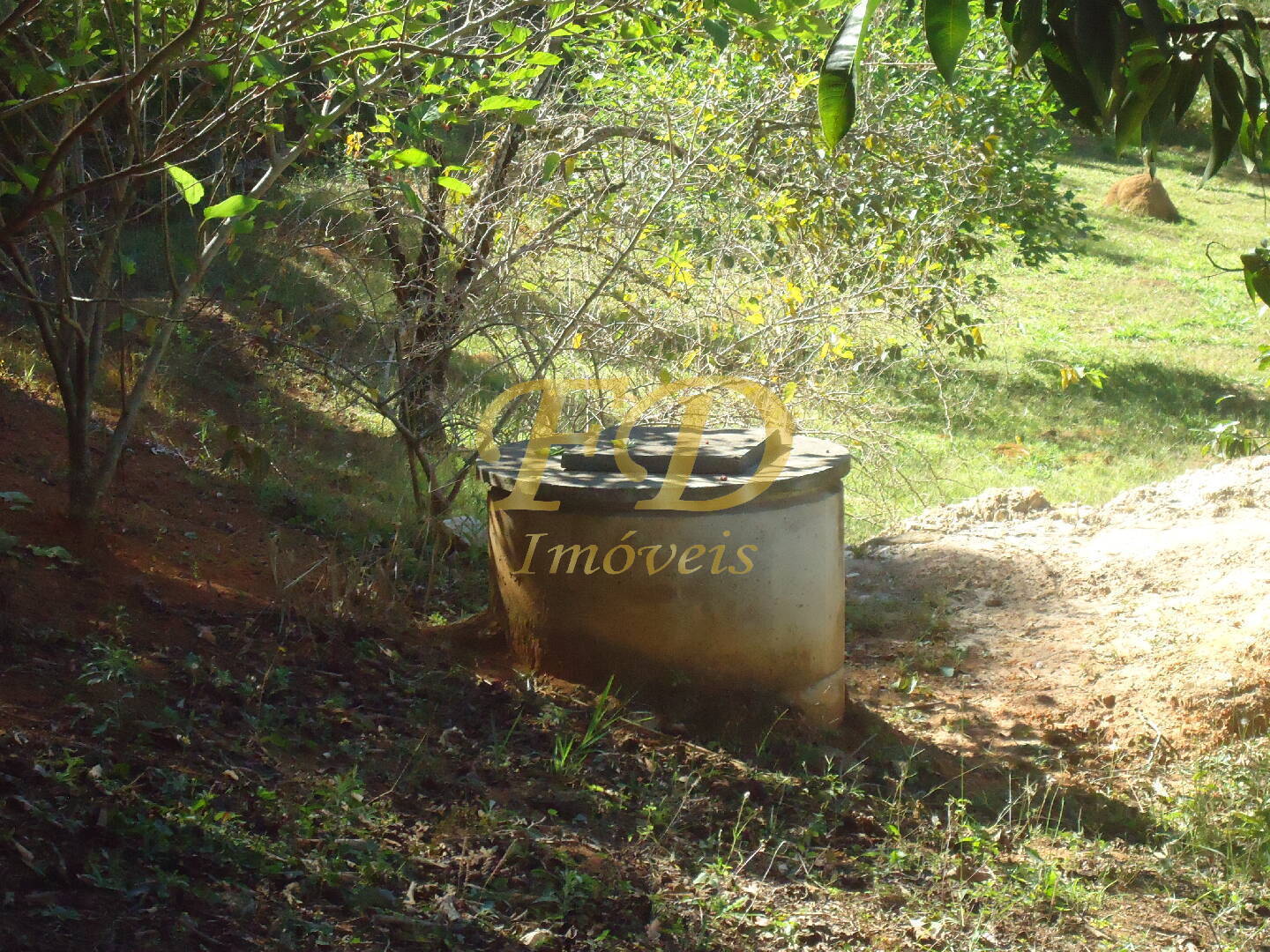 Fazenda à venda com 3 quartos, 1000m² - Foto 65