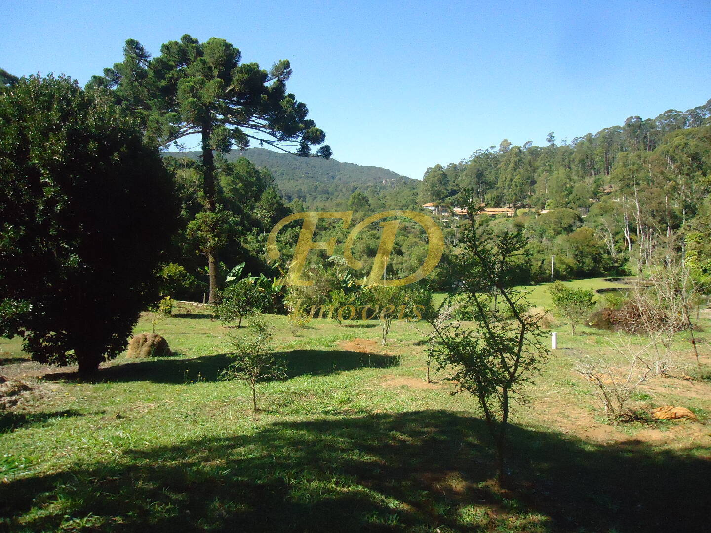 Fazenda à venda com 3 quartos, 1000m² - Foto 66