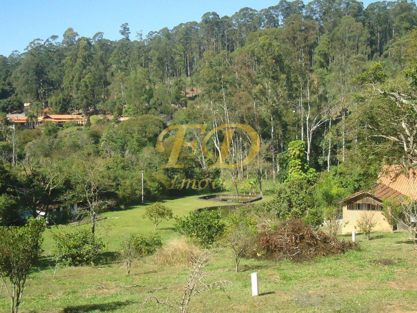 Fazenda à venda com 3 quartos, 1000m² - Foto 67