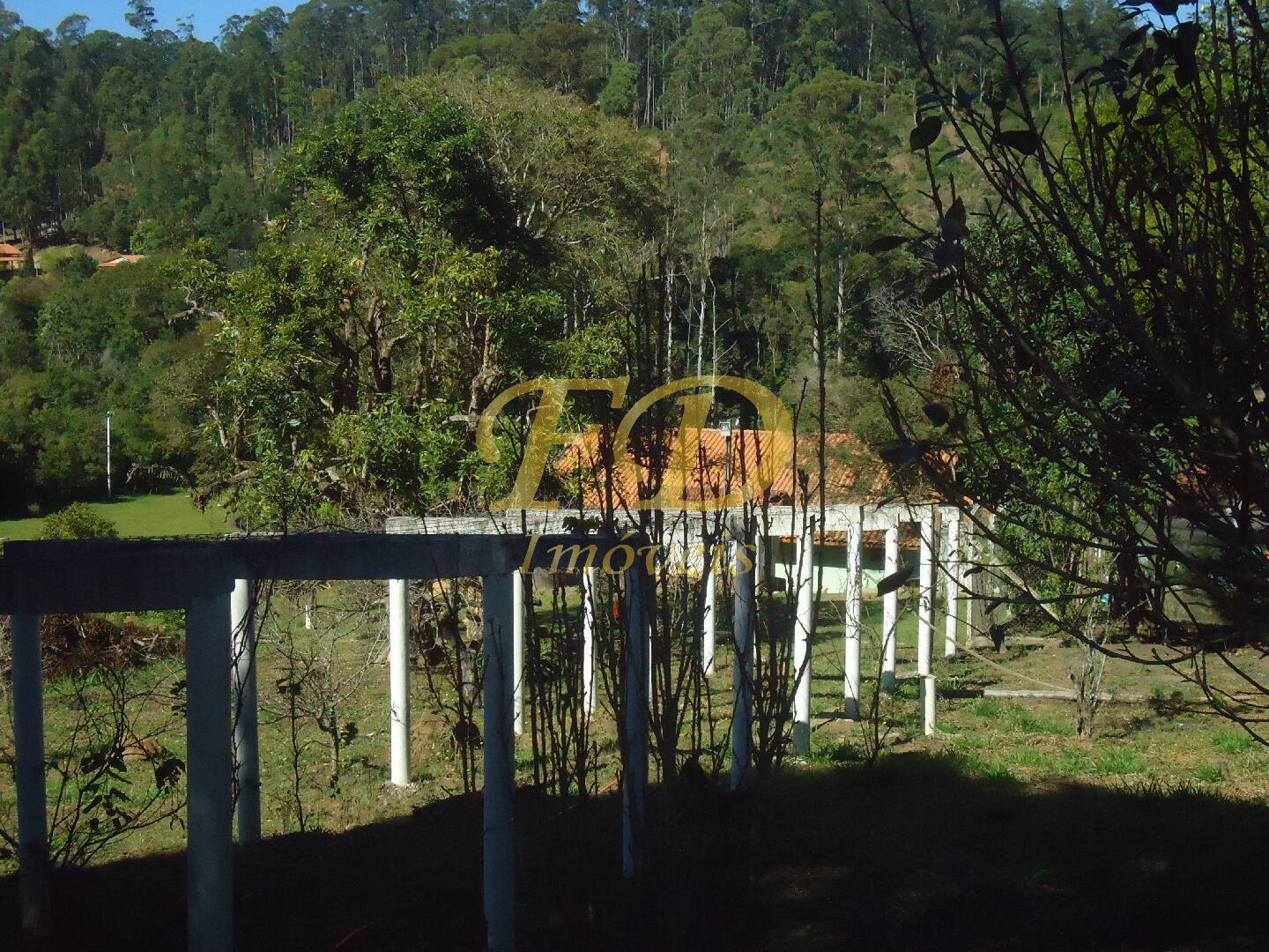 Fazenda à venda com 3 quartos, 1000m² - Foto 68