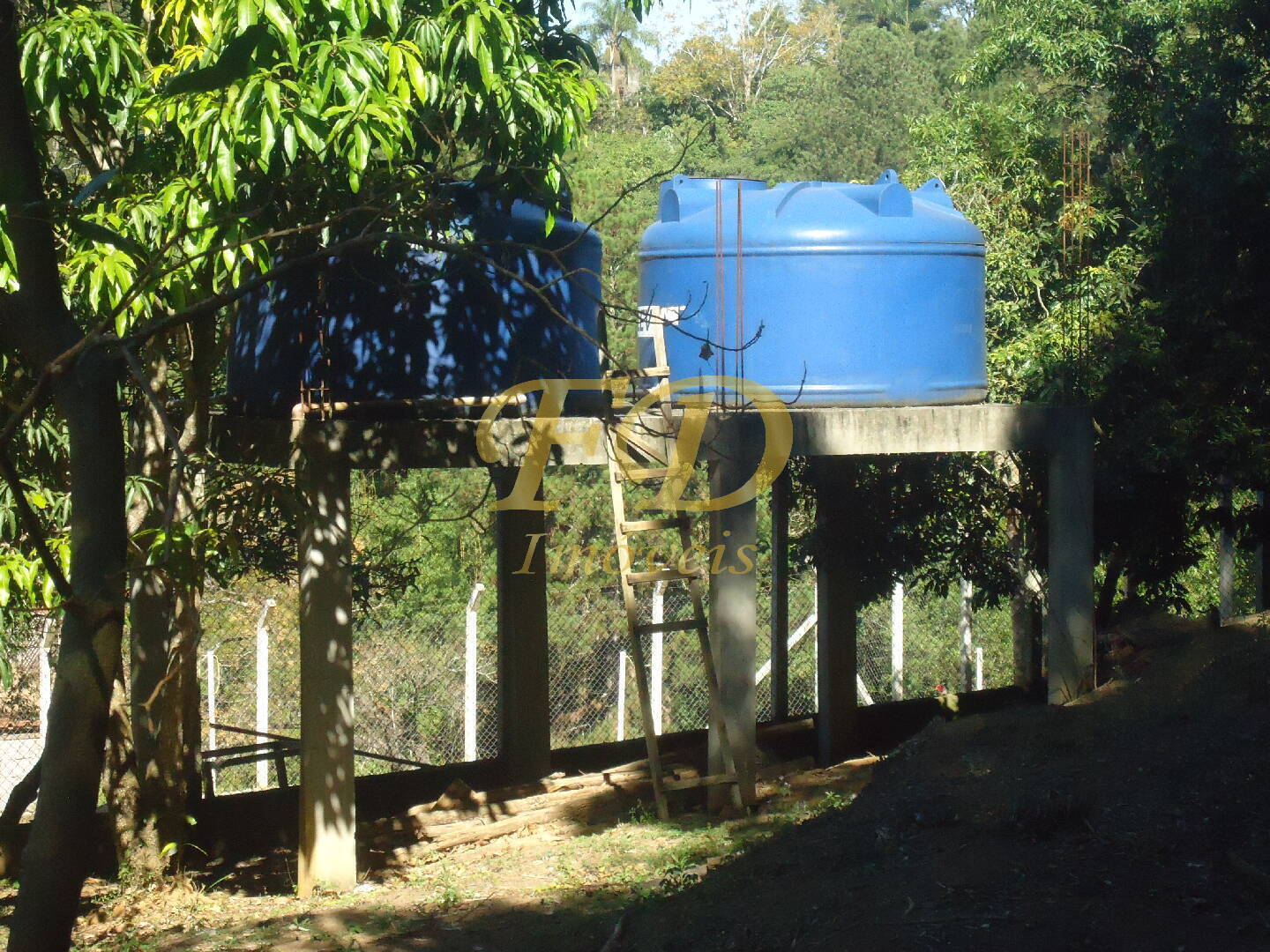 Fazenda à venda com 3 quartos, 1000m² - Foto 69