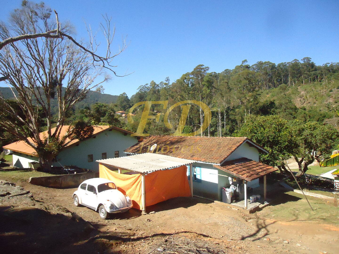 Fazenda à venda com 3 quartos, 1000m² - Foto 73