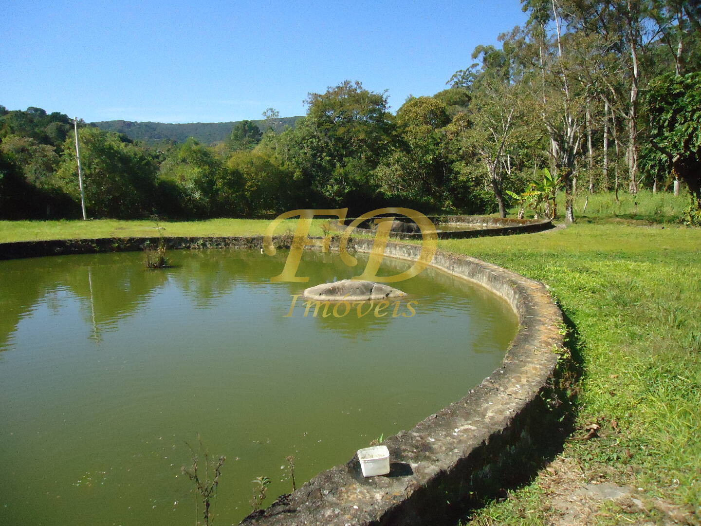 Fazenda à venda com 3 quartos, 1000m² - Foto 97