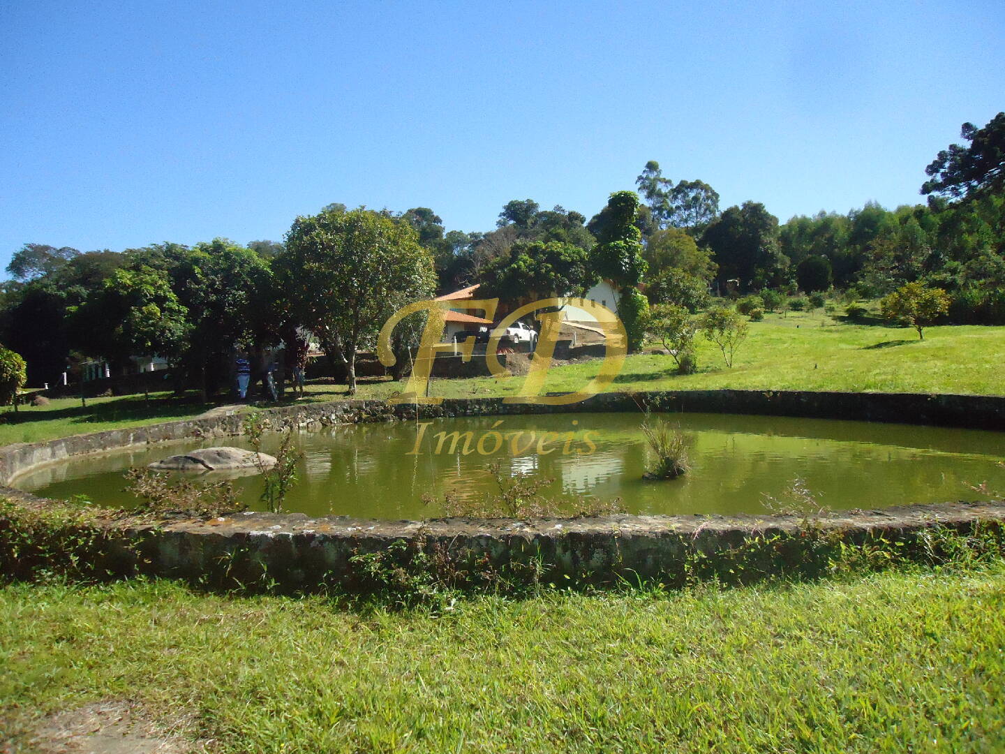 Fazenda à venda com 3 quartos, 1000m² - Foto 99