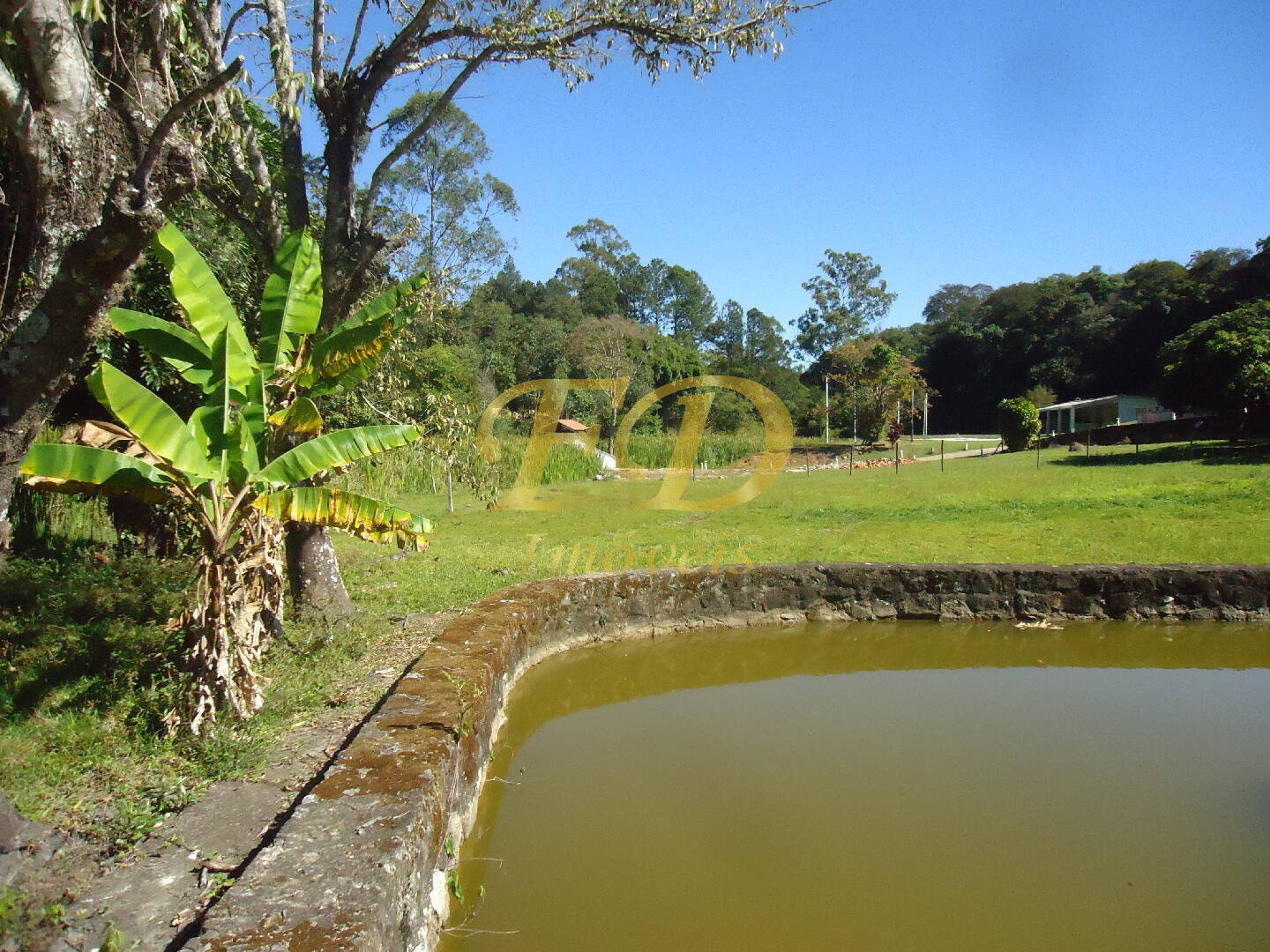 Fazenda à venda com 3 quartos, 1000m² - Foto 101