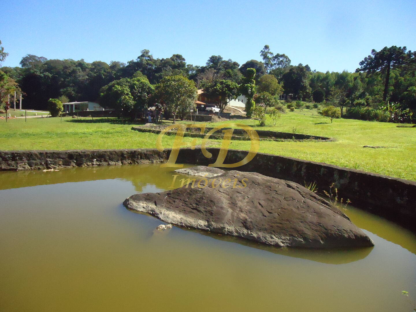 Fazenda à venda com 3 quartos, 1000m² - Foto 102