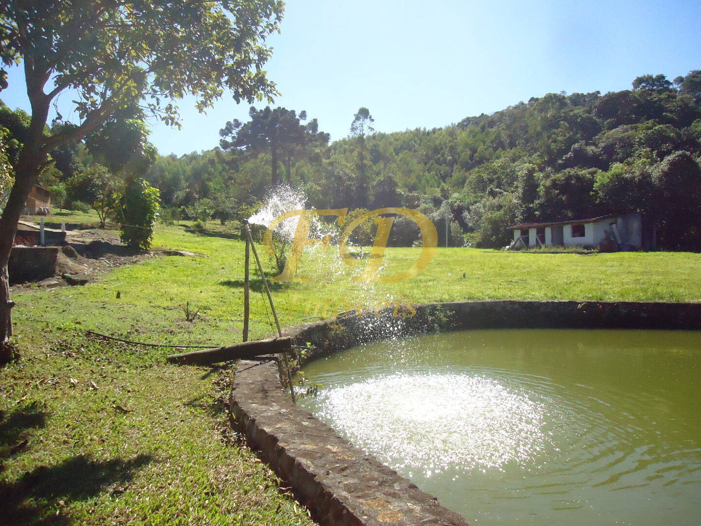 Fazenda à venda com 3 quartos, 1000m² - Foto 103