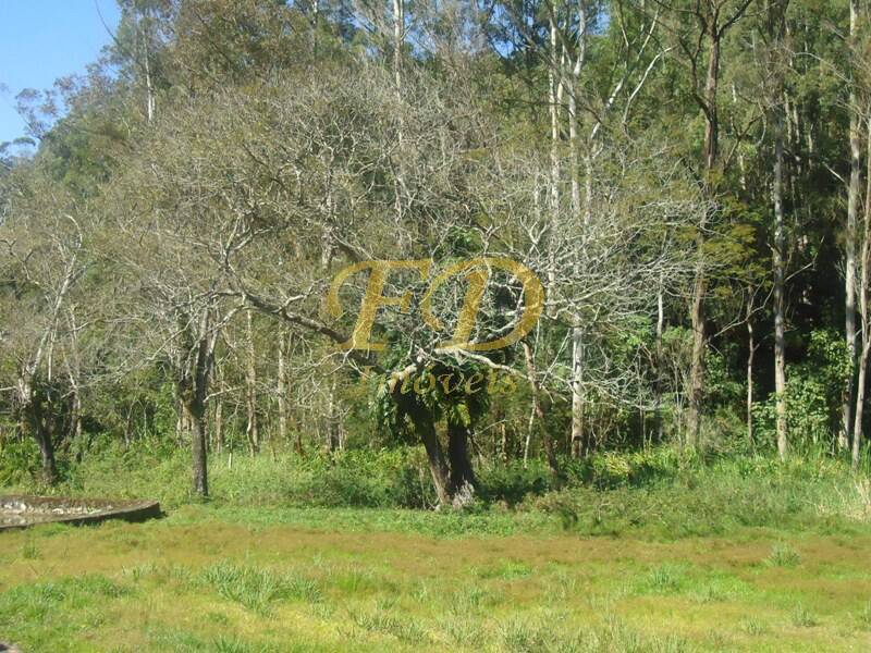 Fazenda à venda com 3 quartos, 1000m² - Foto 114