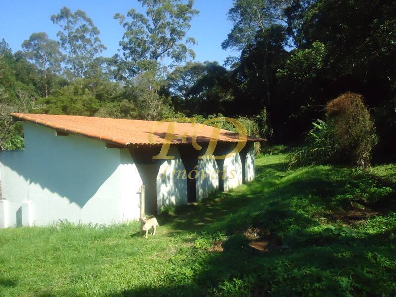 Fazenda à venda com 3 quartos, 1000m² - Foto 121