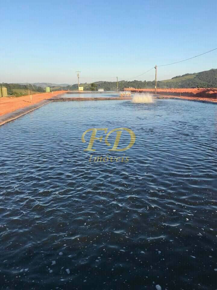 Fazenda à venda com 4 quartos, 700m² - Foto 12