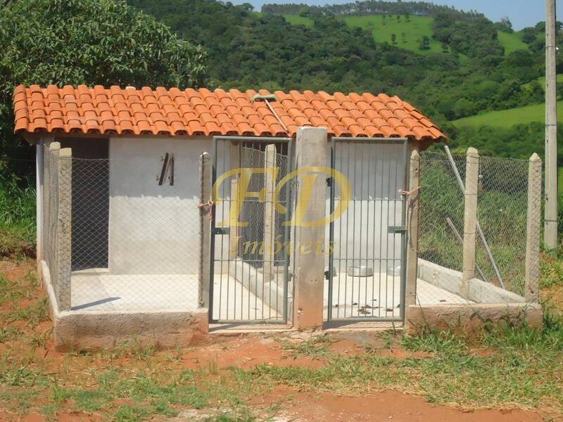 Fazenda à venda com 4 quartos, 700m² - Foto 18