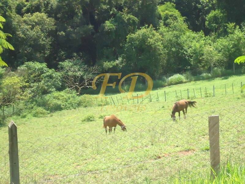 Fazenda à venda com 4 quartos, 700m² - Foto 32