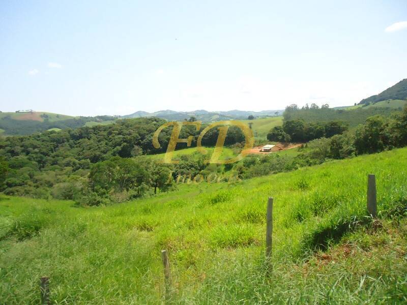 Fazenda à venda com 4 quartos, 700m² - Foto 44