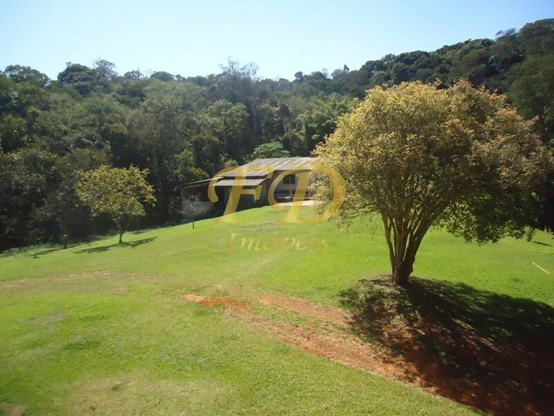 Fazenda à venda com 6 quartos, 950m² - Foto 32