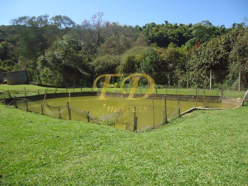 Fazenda à venda com 6 quartos, 950m² - Foto 38