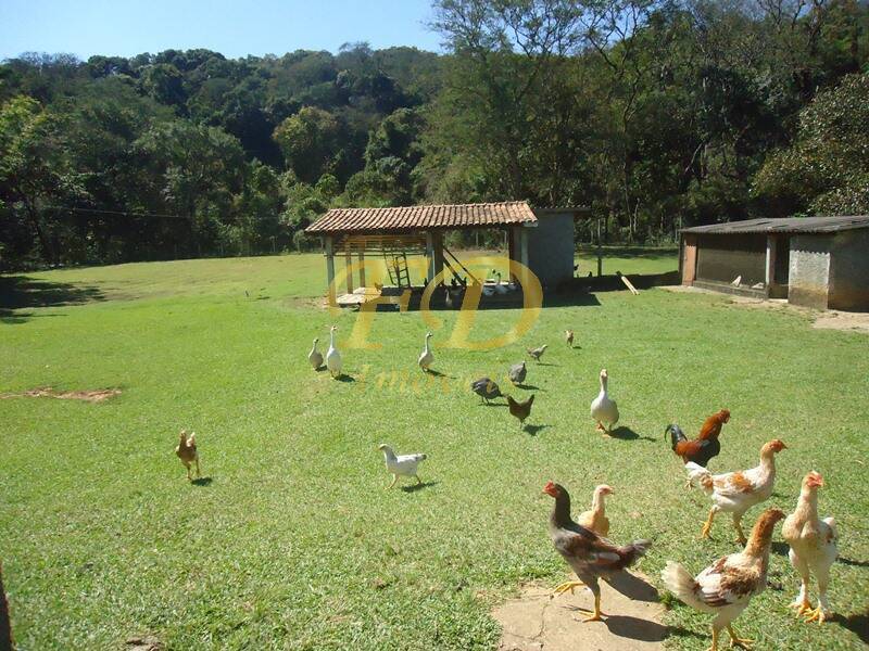 Fazenda à venda com 6 quartos, 950m² - Foto 40