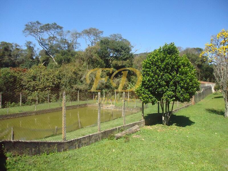 Fazenda à venda com 6 quartos, 950m² - Foto 42