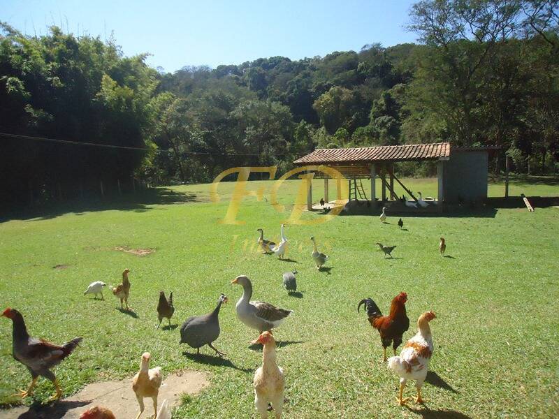 Fazenda à venda com 6 quartos, 950m² - Foto 41