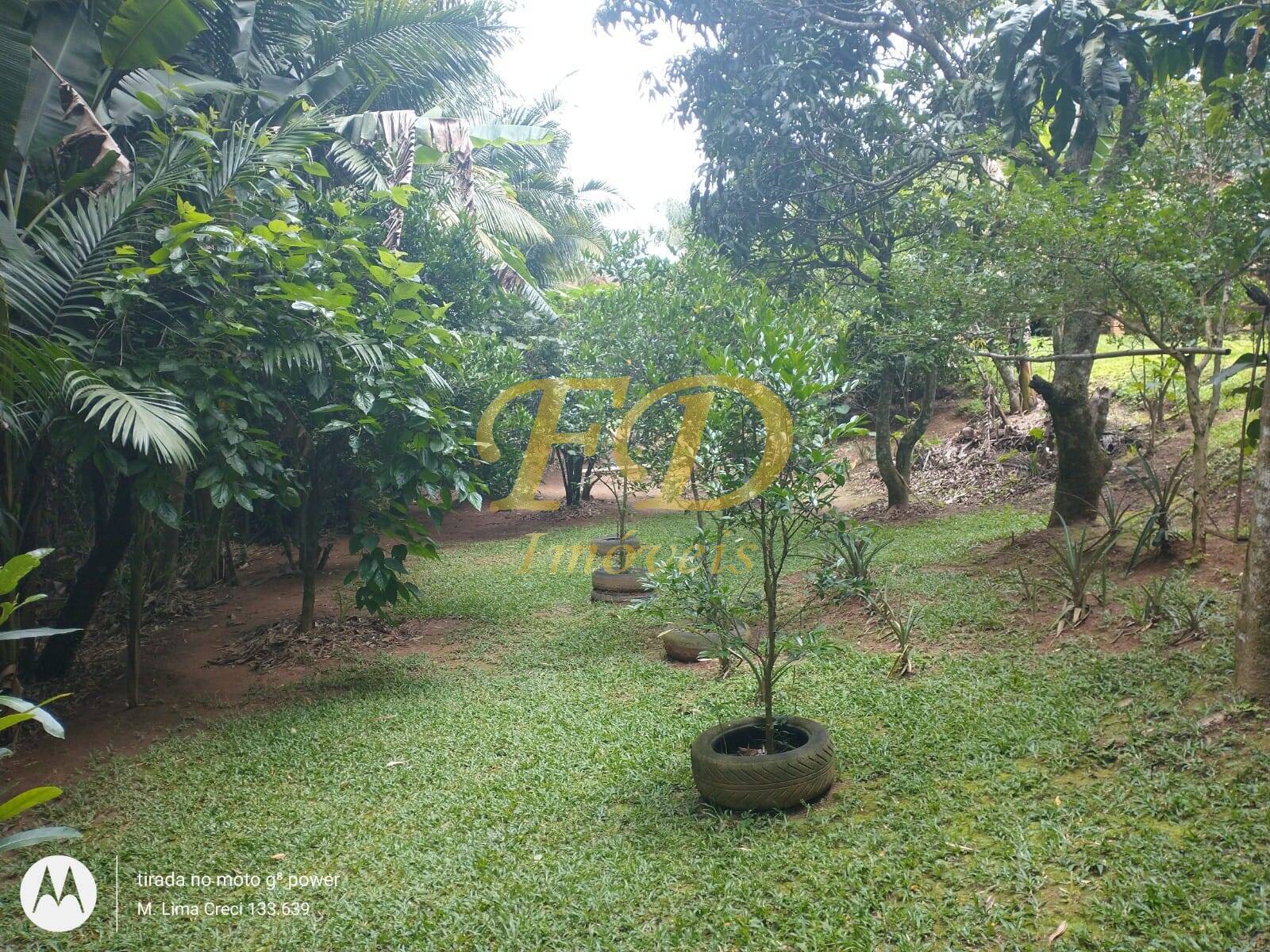 Fazenda à venda com 3 quartos, 170m² - Foto 12