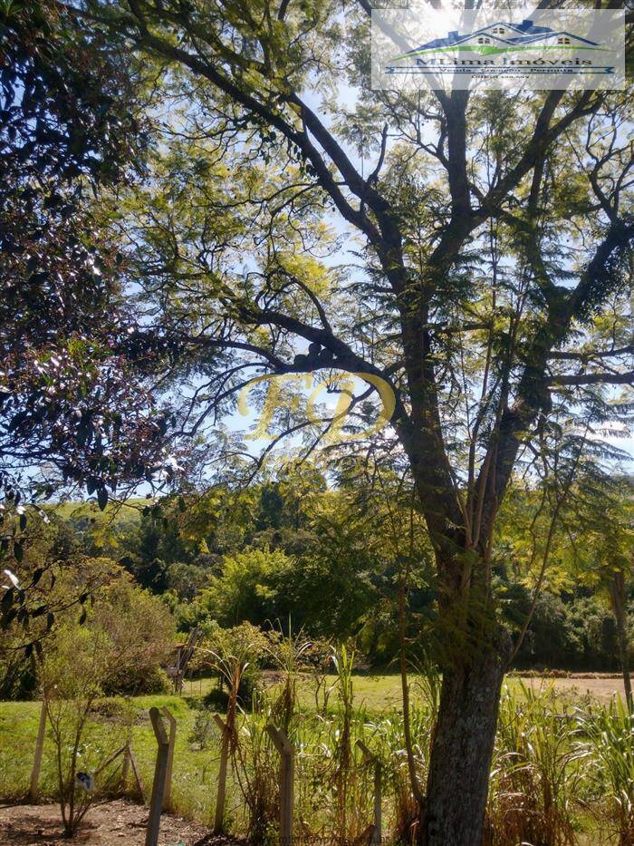 Fazenda à venda com 2 quartos, 200m² - Foto 6