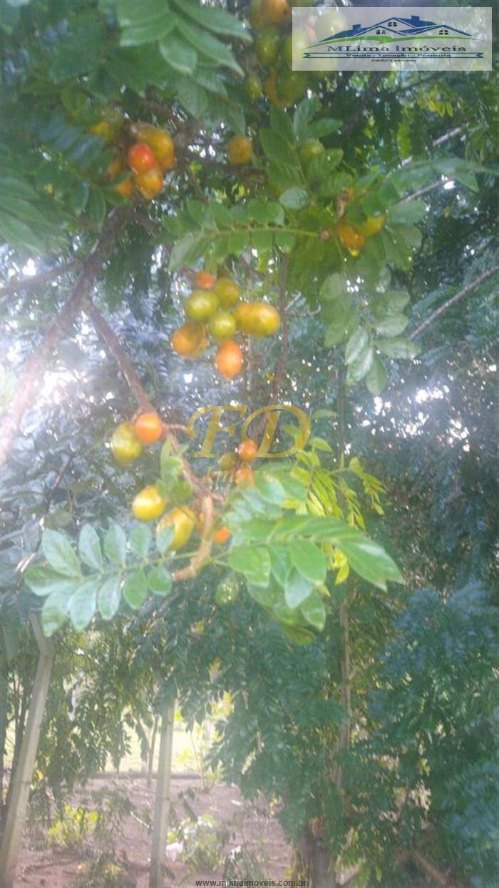 Fazenda à venda com 2 quartos, 200m² - Foto 8