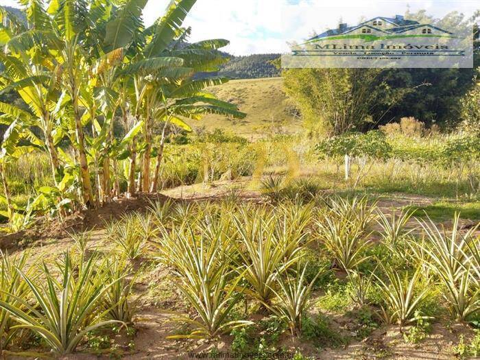 Fazenda à venda com 2 quartos, 200m² - Foto 17