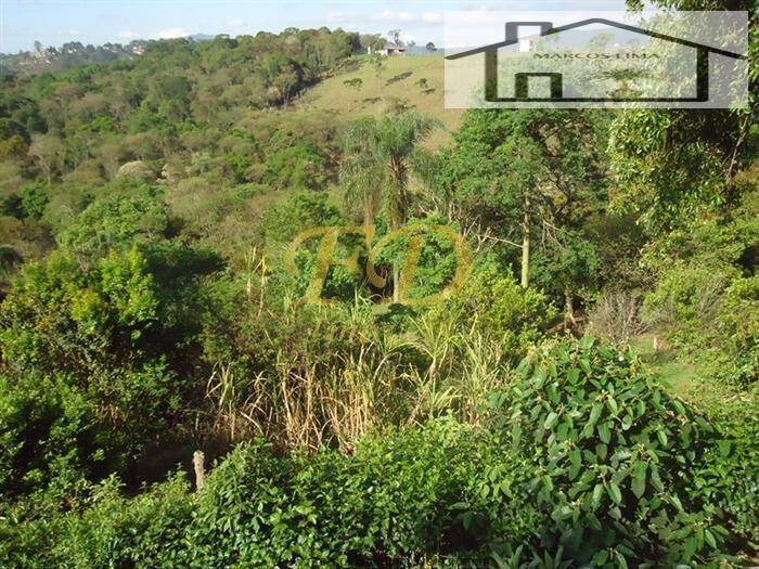 Fazenda à venda com 3 quartos, 200m² - Foto 28