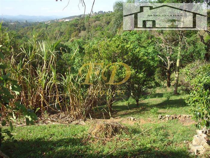 Fazenda à venda com 3 quartos, 200m² - Foto 32