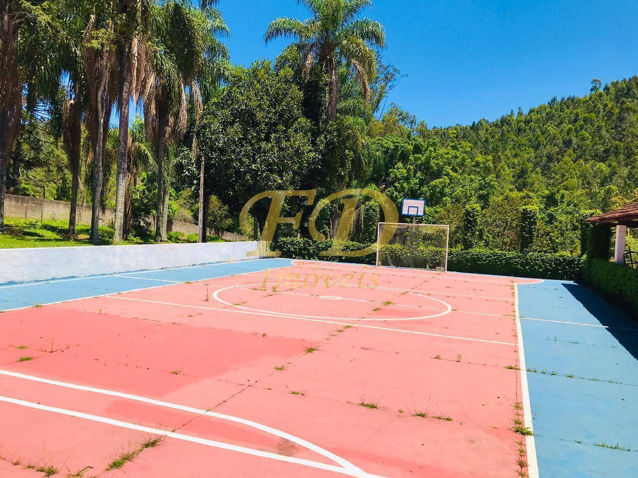 Fazenda à venda com 4 quartos, 1500m² - Foto 58