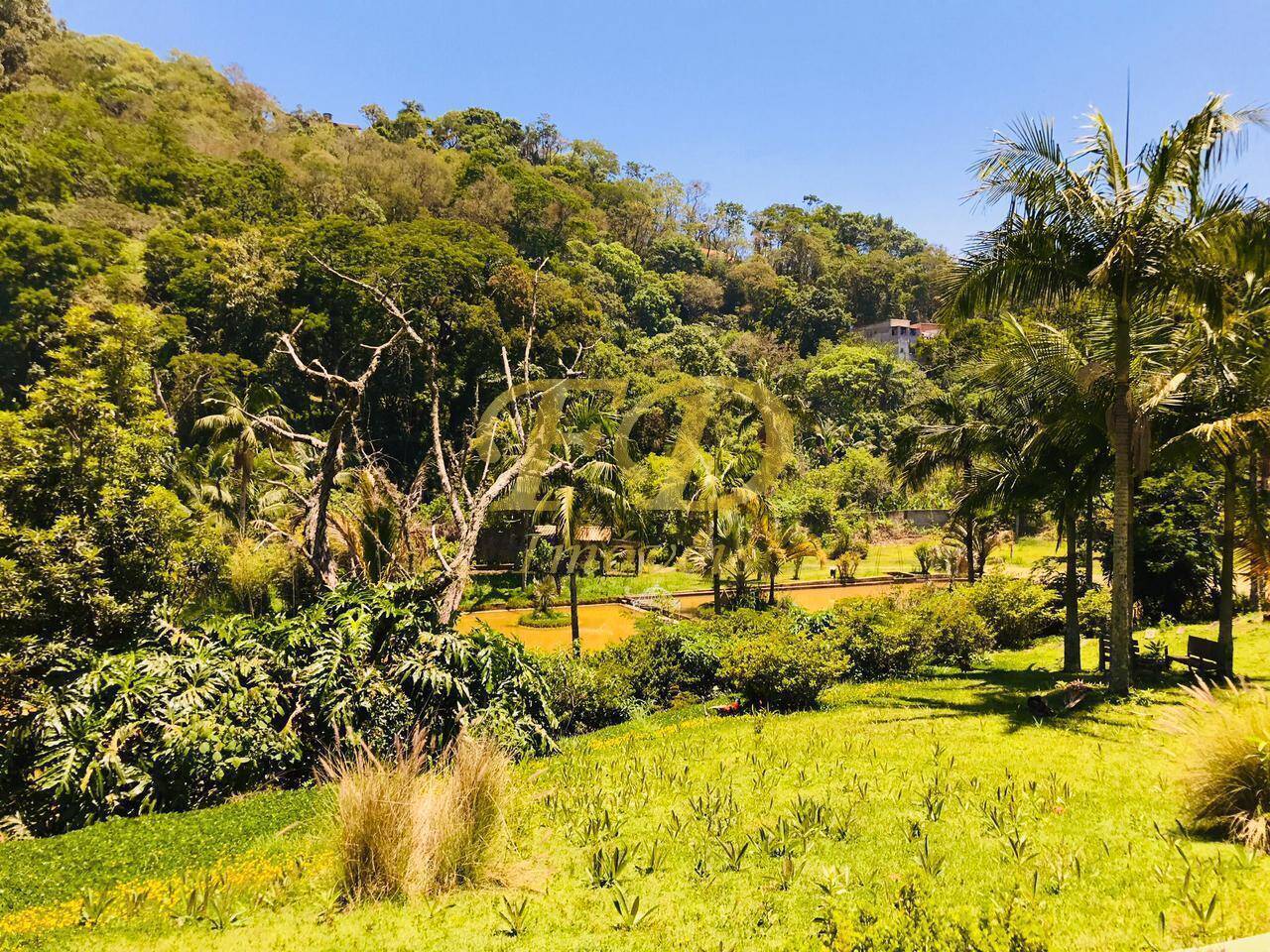 Fazenda à venda com 4 quartos, 1500m² - Foto 79