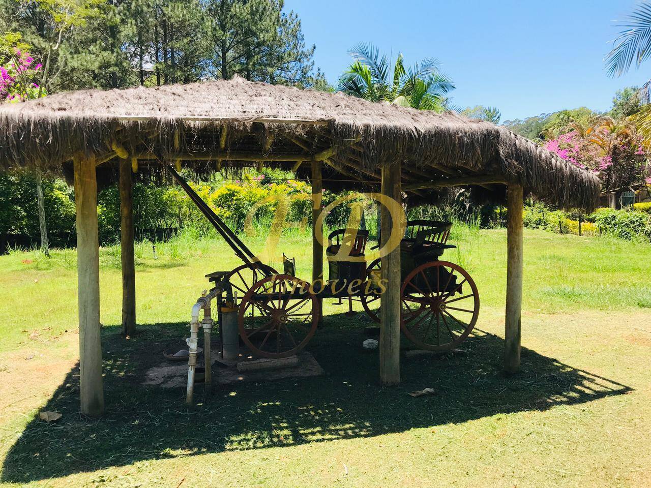 Fazenda à venda com 4 quartos, 1500m² - Foto 98