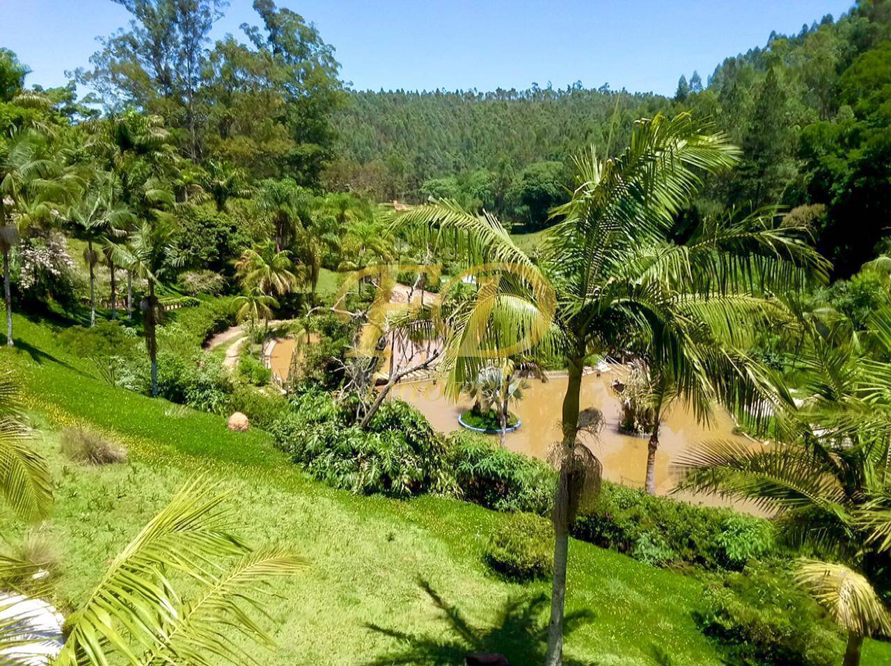 Fazenda à venda com 4 quartos, 1500m² - Foto 126