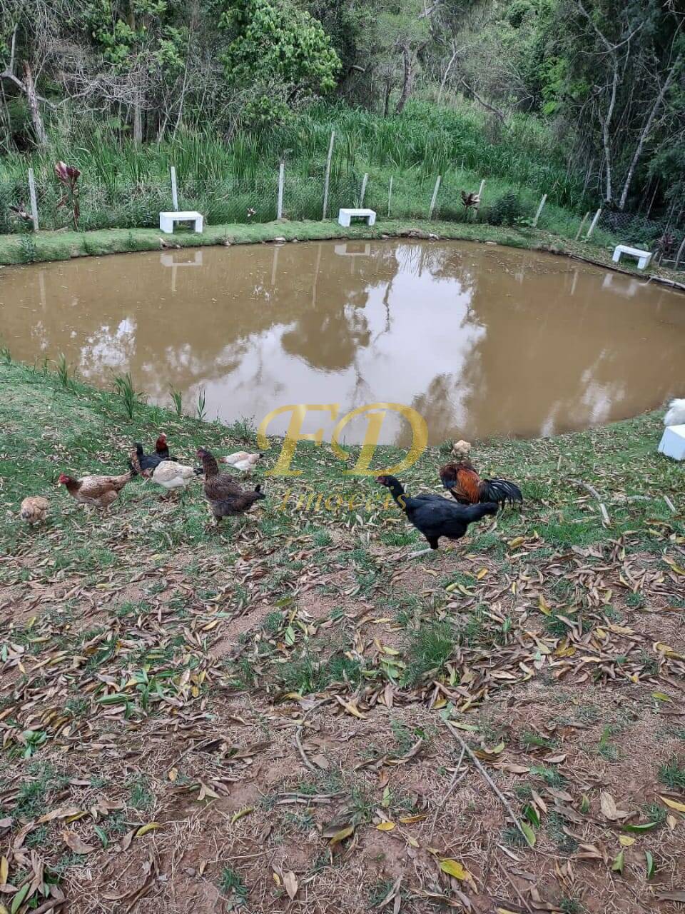 Fazenda à venda com 3 quartos, 200m² - Foto 3