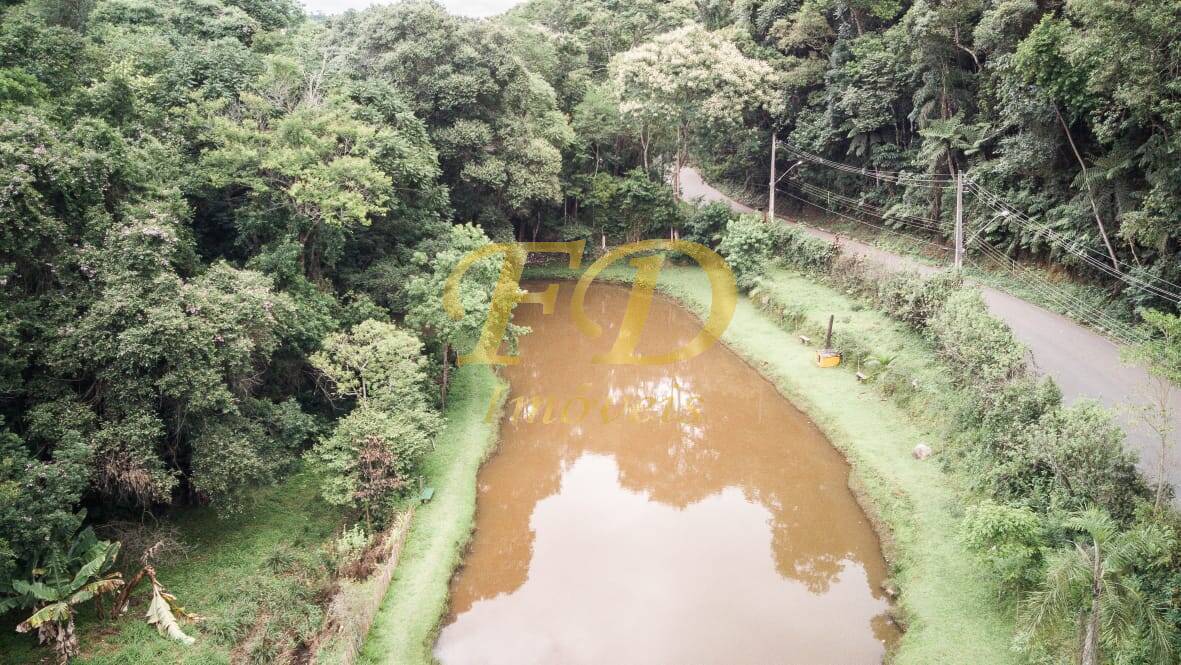 Fazenda à venda com 10 quartos, 30000m² - Foto 4