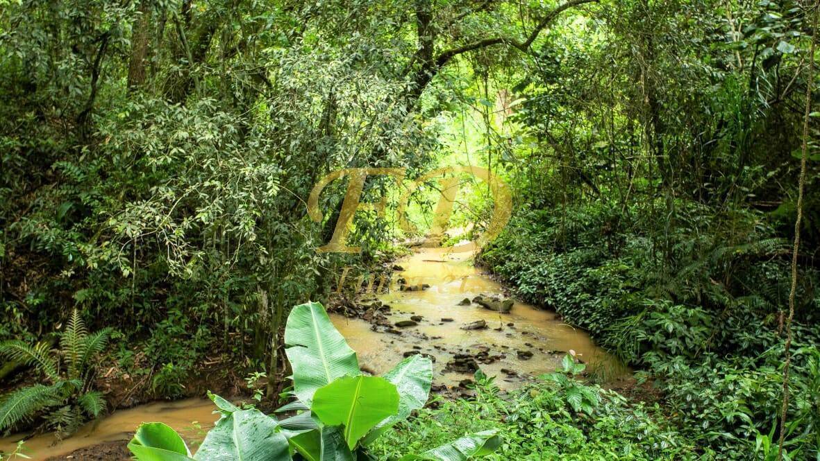 Fazenda à venda com 10 quartos, 30000m² - Foto 2