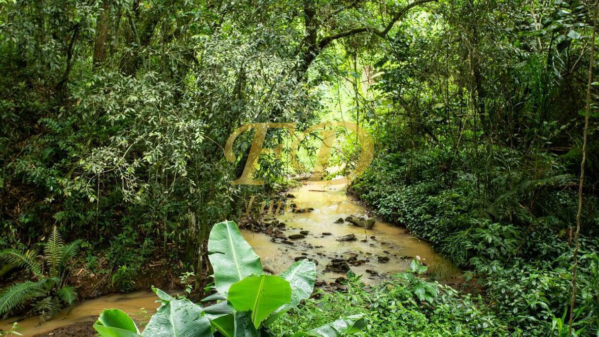 Fazenda à venda com 10 quartos, 30000m² - Foto 56