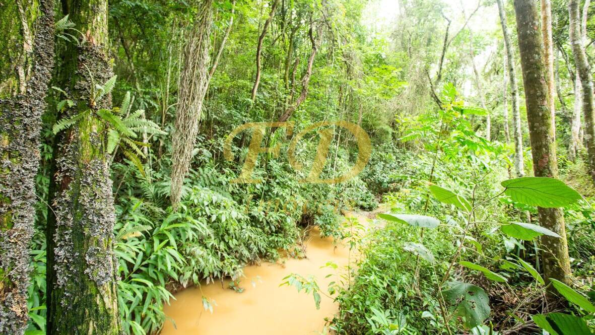 Fazenda à venda com 10 quartos, 30000m² - Foto 58