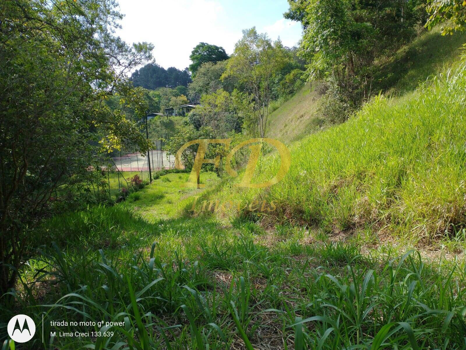 Terreno à venda, 5000m² - Foto 14