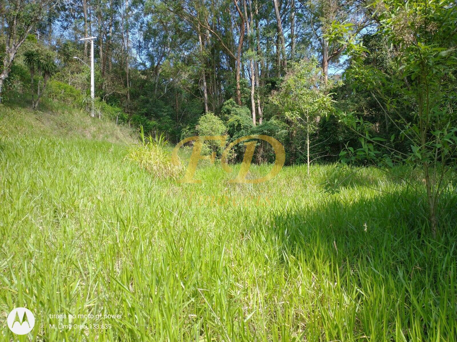 Terreno à venda, 5000m² - Foto 16