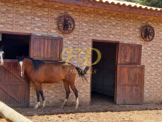 Fazenda à venda com 4 quartos, 500m² - Foto 17