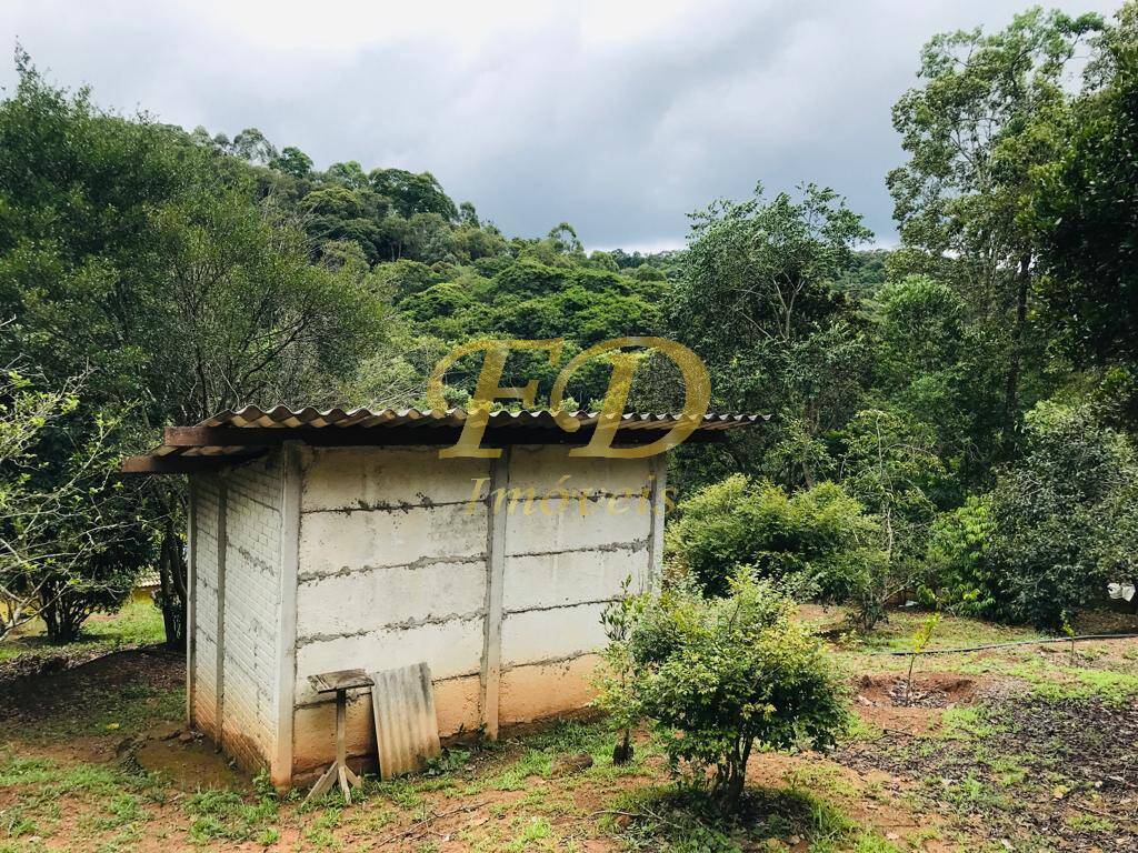 Fazenda à venda com 4 quartos, 470m² - Foto 68